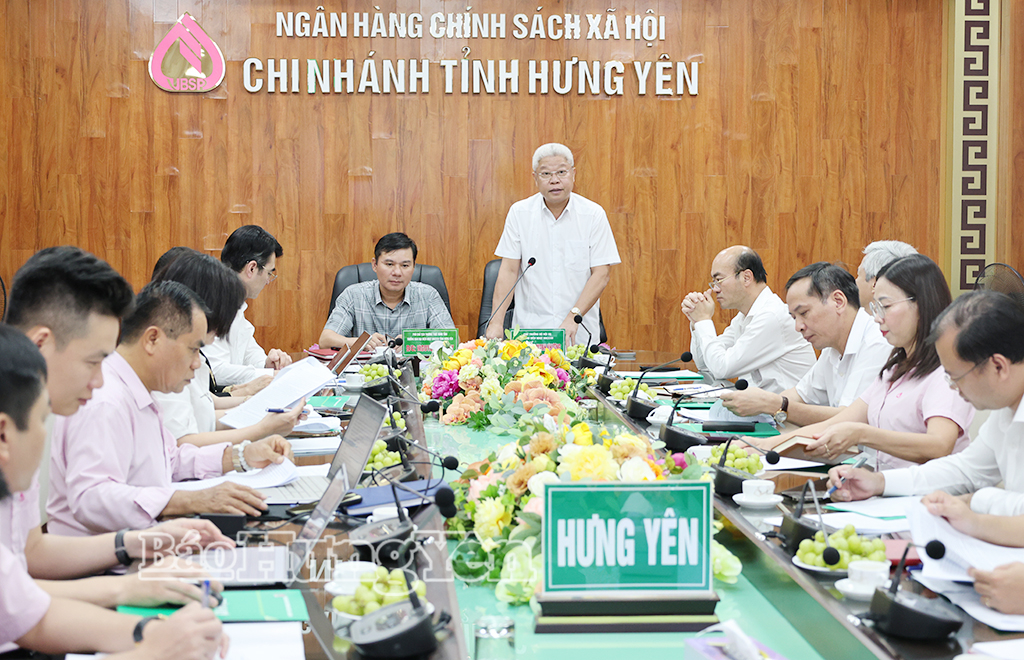 Kiểm tra, giám sát hoạt động tín dụng chính sách xã hội tại Ngân hàng Chính sách xã hội Chi nhánh tỉnh Hưng Yên