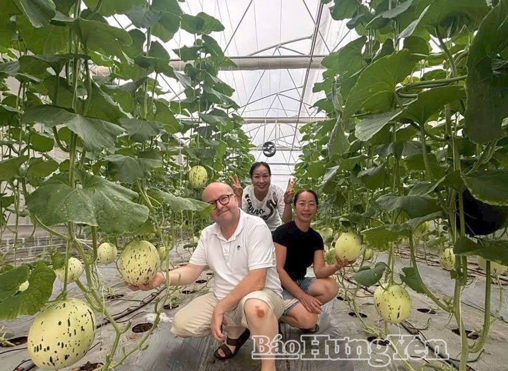 Hợp tác xã sản xuất rau, củ, quả an toàn Văn Giang chọn hướng đi đúng, tạo đà phát triển