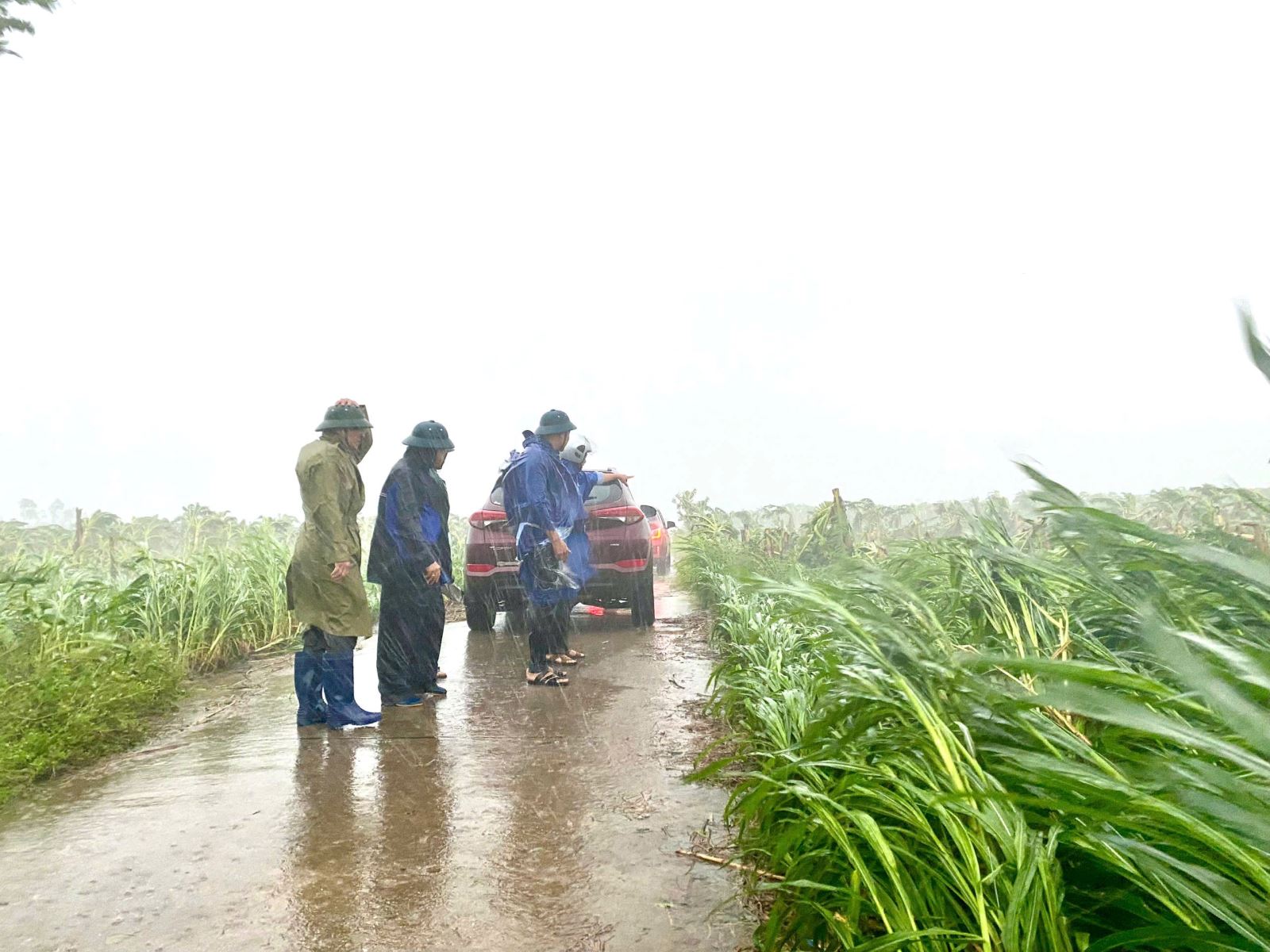 ĐỒNG CHÍ PHÓ BÍ THƯ THƯỜNG TRỰC THÀNH ỦY, CHỦ TỊCH HĐND THÀNH PHỐ LƯƠNG CÔNG CHANH ĐI KIỂM TRA THIỆT HẠI DO BÃO SỐ 3 GÂY RA TẠI XÃ HÙNG CƯỜNG, PHÚ CƯỜNG TRÊN ĐỊA BÀN THÀNH PHỐ 