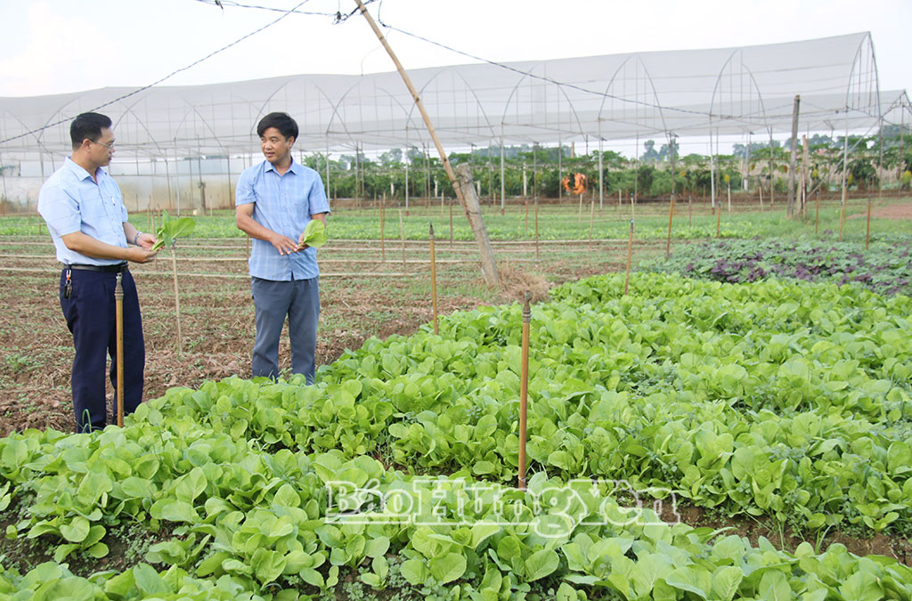 Nông dân xã Việt Yên thi đua sản xuất, kinh doanh giỏi