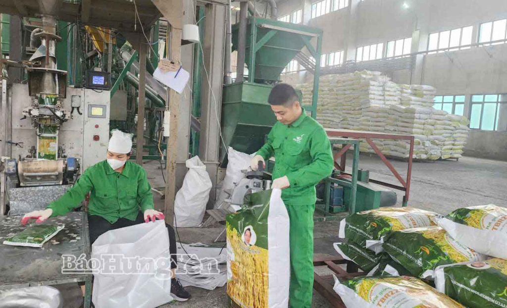 Kỳ 3: Bước ngoặt mới trong sản xuất lúa gạo