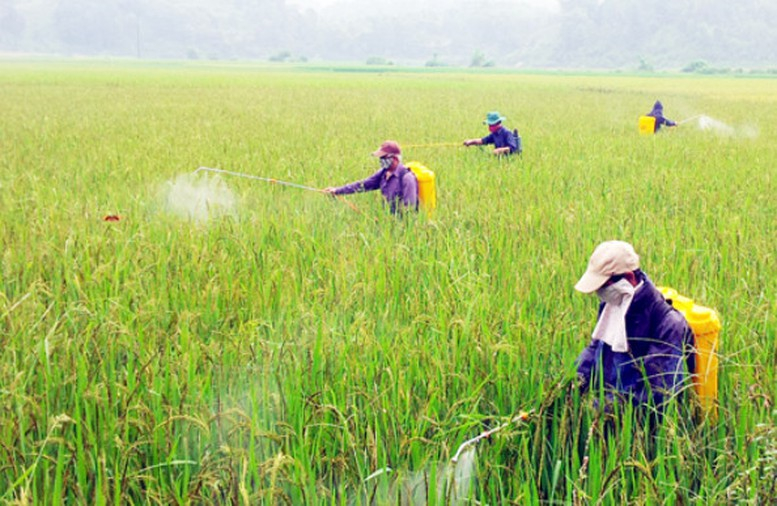 Đề xuất Danh mục thuốc bảo vệ thực vật được phép sử dụng, cấm sử dụng tại Việt Nam