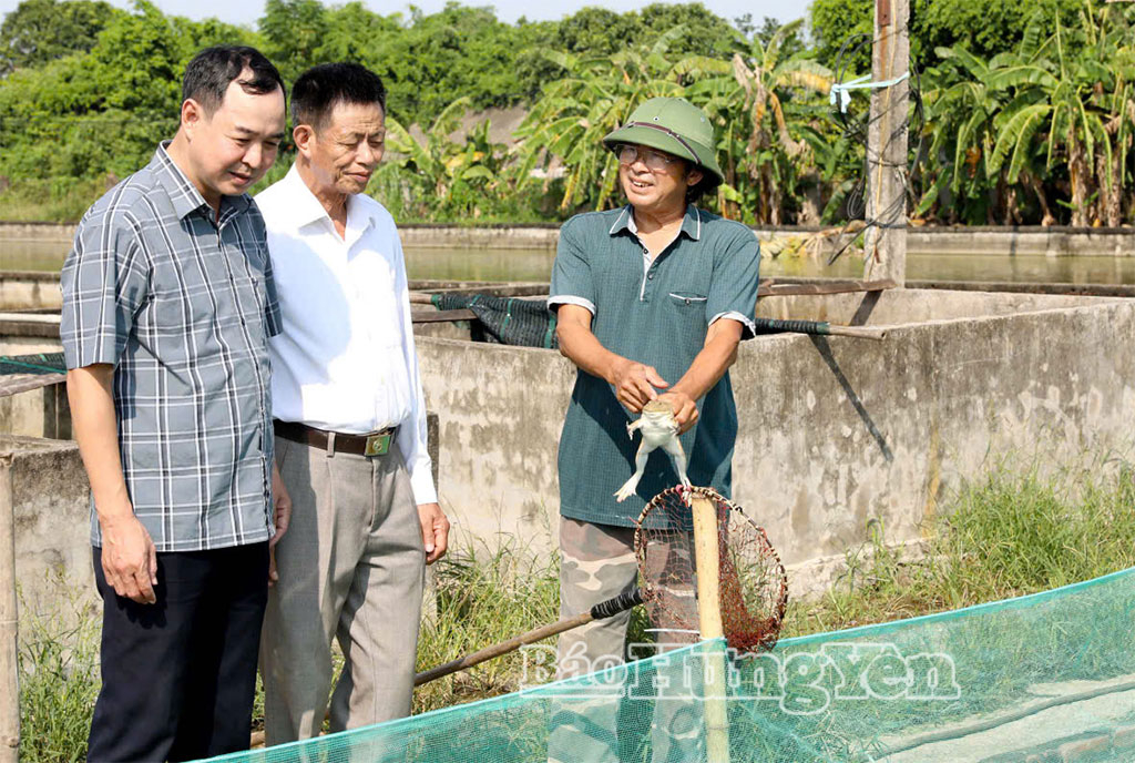 Từ tín dụng chính sách, mở thêm sinh kế, nối dài ước mơ