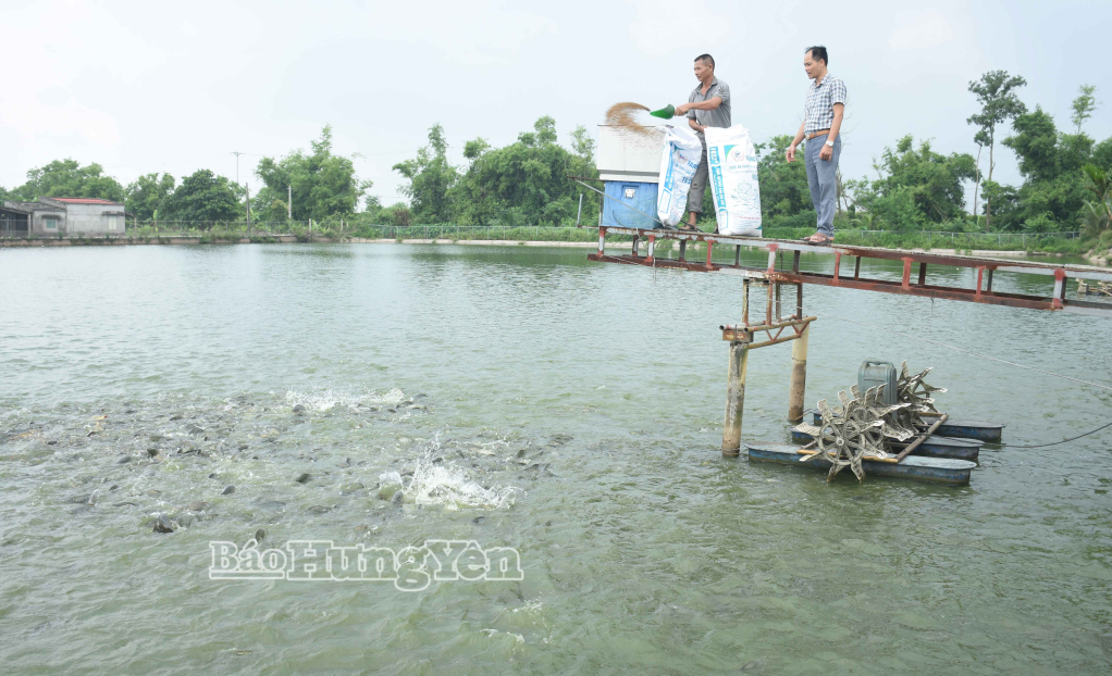 Hội Nông dân xã Phụ Dực: Cùng hội viên phát triển kinh tế