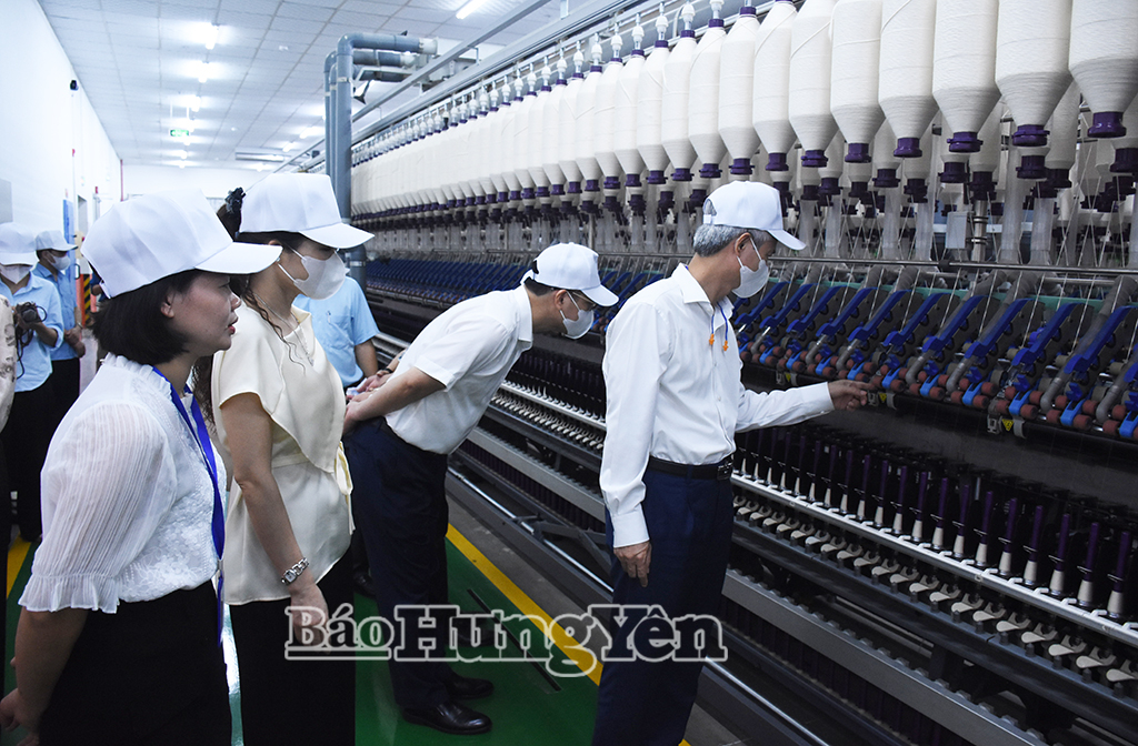Đồng chí Giám đốc Sở Nội vụ khảo sát vấn đề lao động, việc làm tại Công ty TNHH SRS