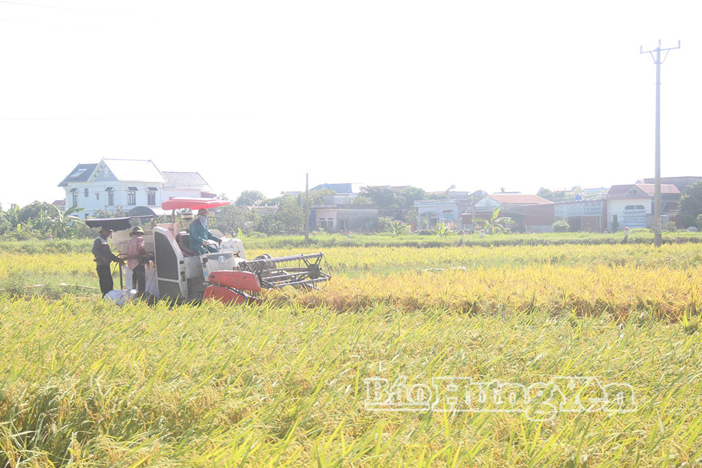 Ý kiến đóng góp vào dự thảo các văn kiện trình Đại hội lần thứ XIV của Đảng
