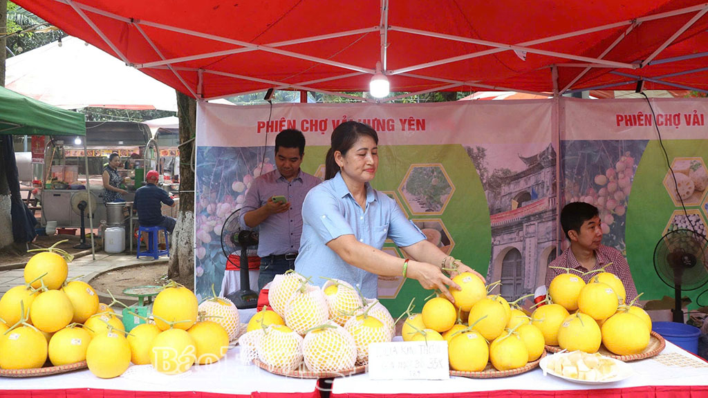 Hiệu quả từ cây dưa trên đồng đất Phạm Ngũ Lão