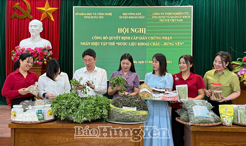 Xã Triệu Việt Vương: Mở rộng diện tích trồng cây cỏ ngọt