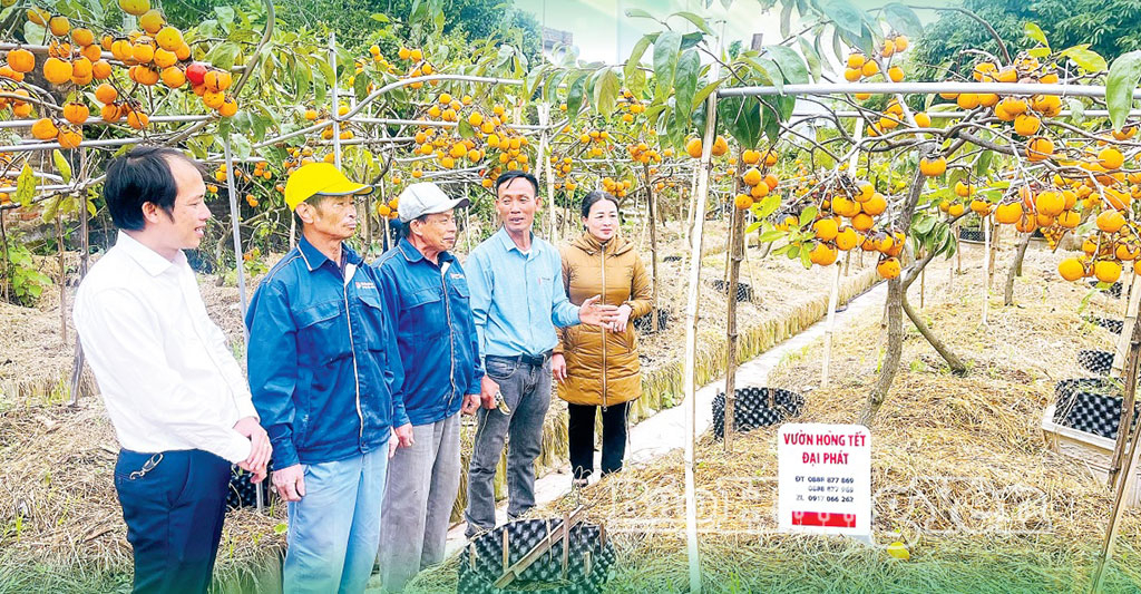 Nông dân Hưng Yên đoàn kết, đổi mới, khát vọng vươn lên