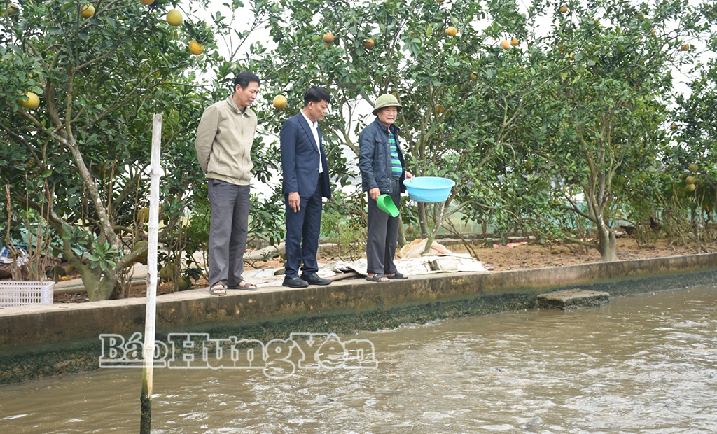 Xã Tân Tiến: 1.533 hội viên người cao tuổi đạt tiêu chuẩn 