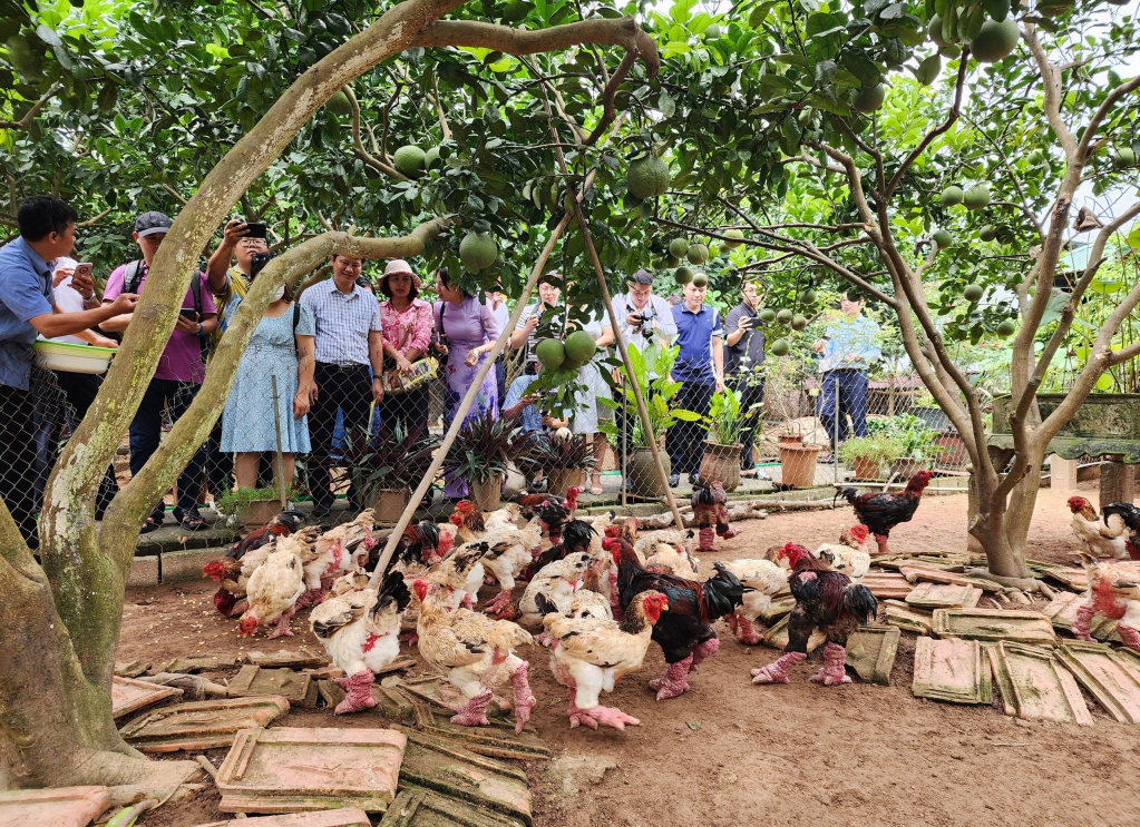 Đặc sắc tinh hoa ẩm thực Hưng Yên
