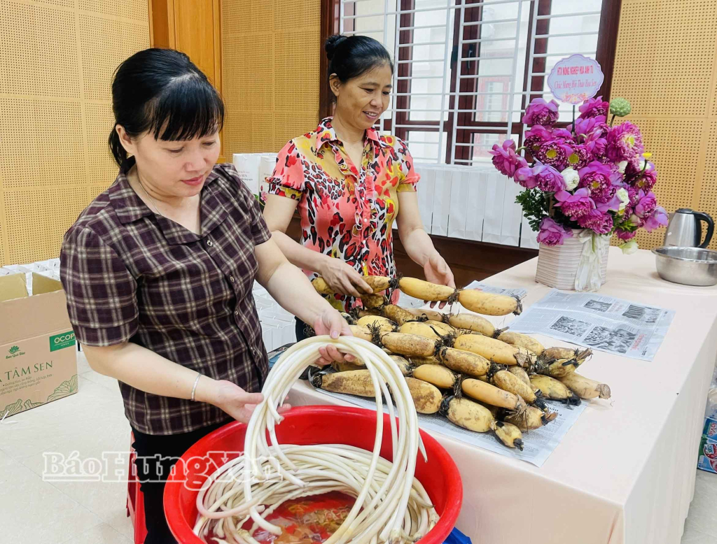 Hồng Minh: Phát triển hoa sen gắn với phát triển làng nghề