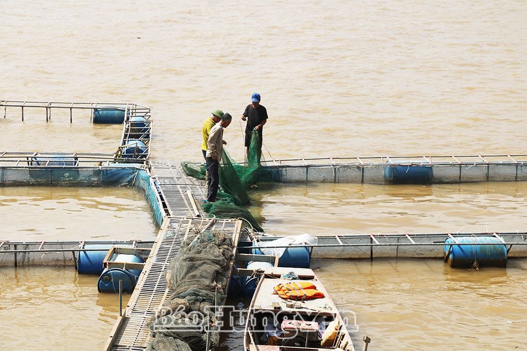 Hội Nông dân xã Phú Cường: Cùng với nông dân phát triển kinh tế