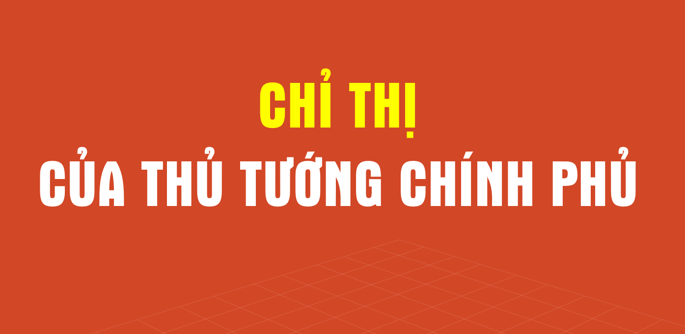 Chỉ thị 21/CT-TTg của Thủ tướng Chính phủ về sắp xếp thôn, tổ dân phố và người hoạt động không chuyên trách