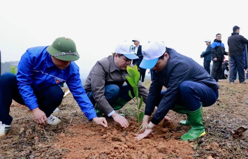 Chọn thời điểm phát động 'Tết trồng cây' ở các tỉnh phía Bắc và phía Nam